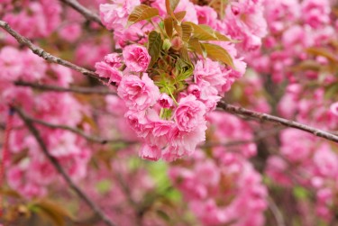 南京建邺区8线下个人借款平台一站式服务，轻松解决资金难题