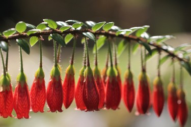 南京建邺区8零用贷短借：轻松解决临时资金需求