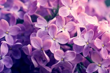 南京建邺区8企业急用钱贷款攻略：快速融资解燃眉之急